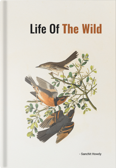 Book storefront shelf